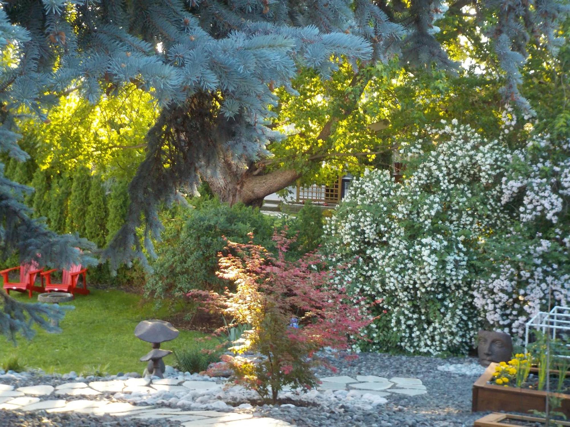 Dogwood Bed & Breakfast Summerland Εξωτερικό φωτογραφία